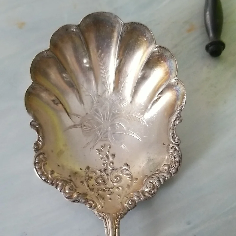 Vintage Elegant Silver Plated Decorative Spoon